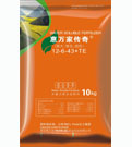 &#26032;&#21033;&#20307;&#32946;